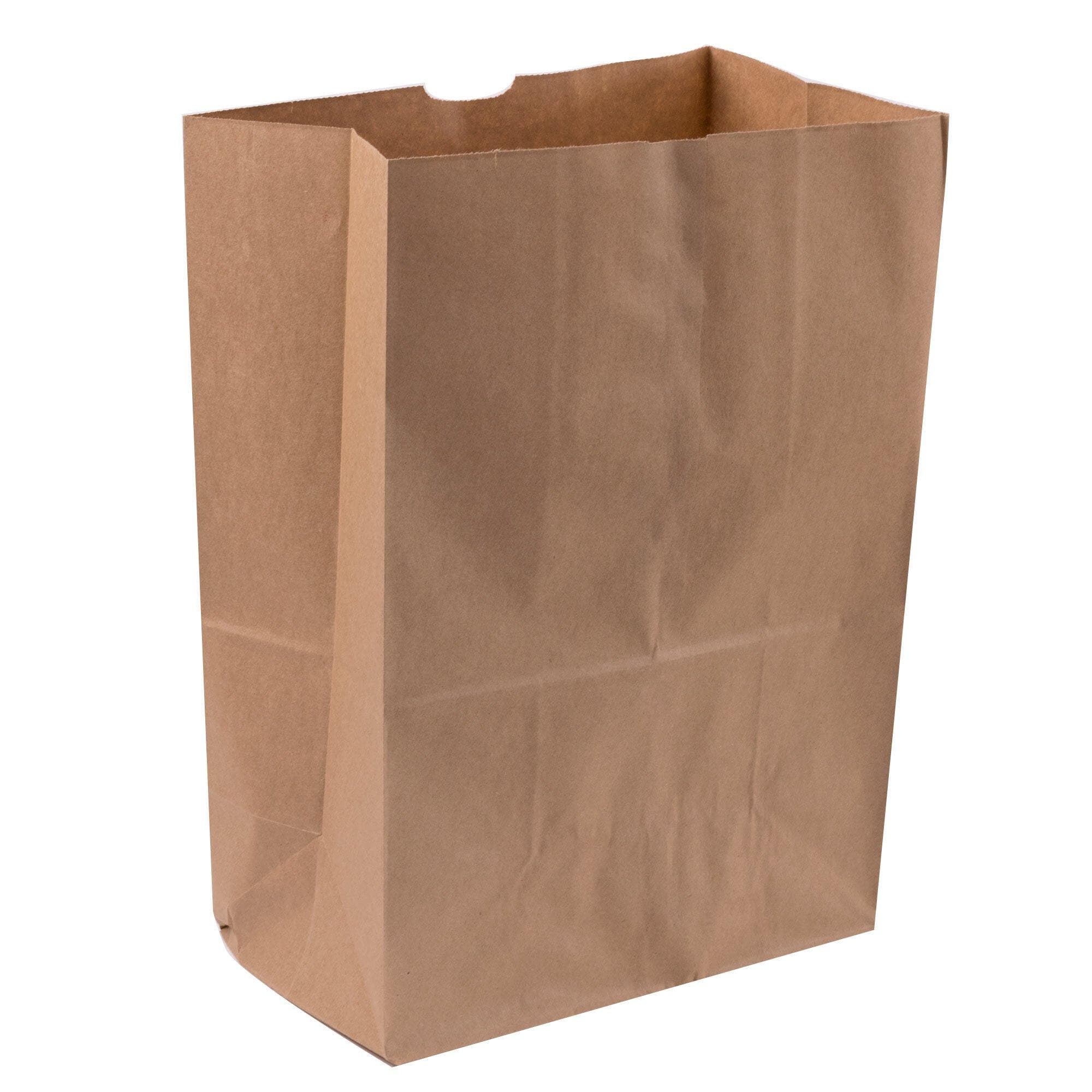 1/6 Barrel Kraft Bag - 500 Units